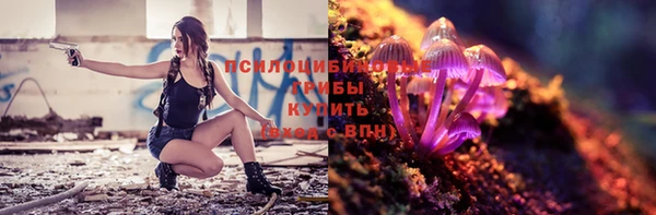 СК Алзамай
