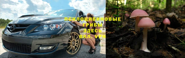 СК Алзамай